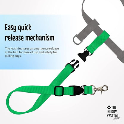The Buddy System Hands Free Dog Leash, Adjustable Leash for Running, Jogging, Training and Service Dogs, Great for Small, Medium and Large Dogs, Made in USA (Green, X-Large Belt (33"- 60" Waist))