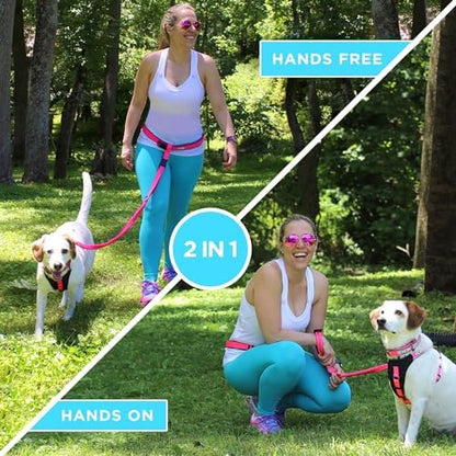 Pawtitas Reflective Teal Running Handsfree Puppy or Dog Leash Padded Handle, 5 ft., Medium, Blue - Image 2