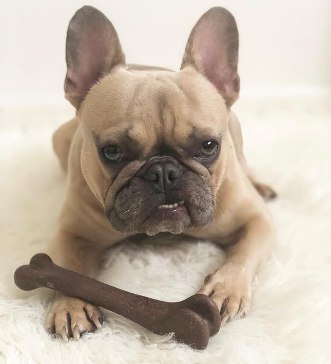 SPOT Bam-Bones Bone - Made with Strong Bamboo Fiber, Durable Long Lasting Dog Chew for Light to Moderate Chewers, Great Toy for Adult Dogs & Teething Puppies under 40lbs, 7.25in, Bacon Flavor