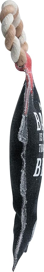 Pavilion Gift Company - My Bark is Worse Than My Bite - 13 Inch Large Canvas Tug of War Shark Shaped Dog Rope Toy - Sturdy & Durable
