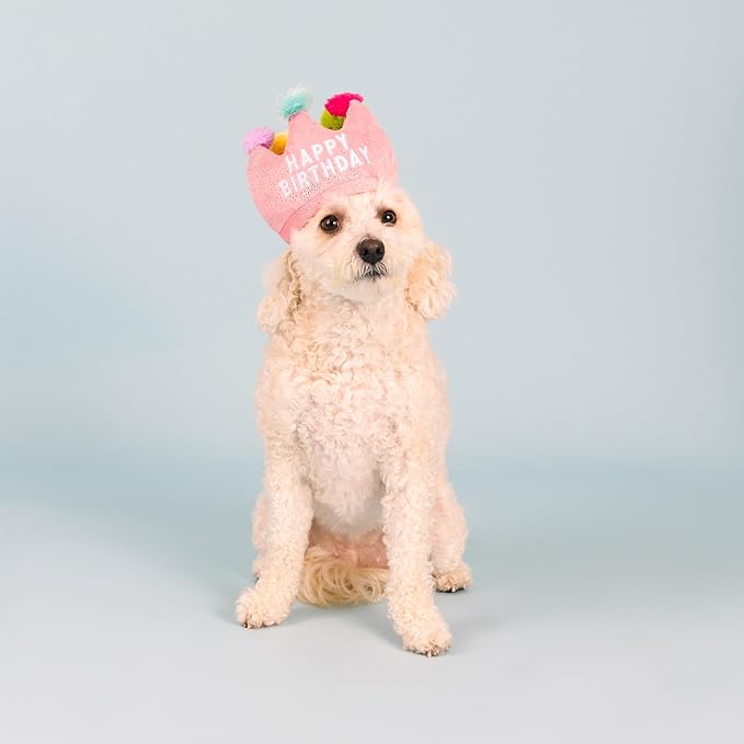 Fringe Studio Plush Dog Toy, If The Crown Fits, Pet Shop Collection (314209)