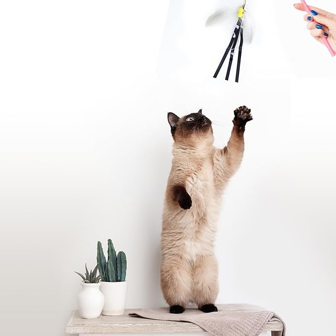 Cat Insect Feather Toys Replacement Cat Toy Wand Refills, 6 Pieces Natural Insect Cat Toy Feathers Refill, Interactive Cat Teaser Wand Attachments, with Bell