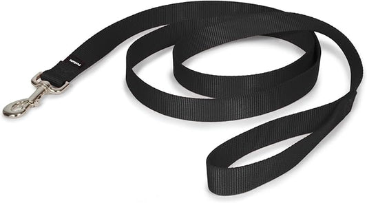PetSafe Nylon Dog Leash – Strong, Durable, Traditional Style Leash with Easy to Use Bolt Snap for Small, Medium and Large Dogs – 1" x 6', Black