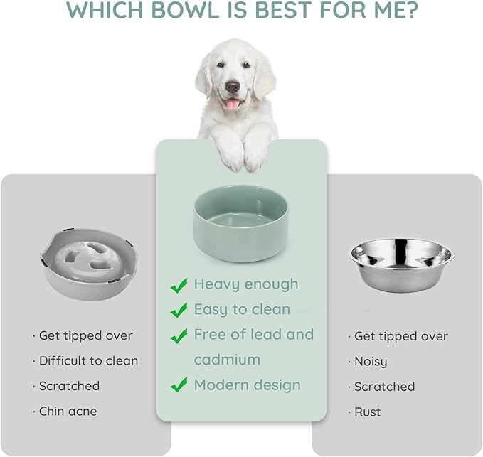 SPUNKYJUNKY 13.5OZ Ceramic Dog and Cat Bowl, Modern Cute Weighted Food Water Bowl for Replacement Morandi Green (2 Pack)