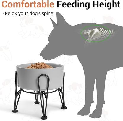 Elevated Dog Bowls, Ceramic Raised Dog Bowl Set with Anti-Slip and Non-Tip Metal Stand, 2 Pack Pet Food and Water Feeding Bowls for Small and Medium Dogs (Gray,3.6 Cups)