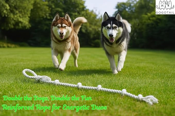 Heavy-Duty 51" White Cotton Rope Dog Toy – 6-Knot Tug & Dental Chew with Loop – Durable, Washable, Natural & Safe for Medium & Large Dogs – Indoor & Outdoor Play