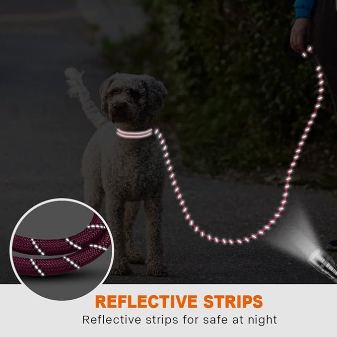 Taglory Rope Dog Leash 5 FT with Comfortable Padded Handle, Highly Reflective Threads Leash and Anti-Tangle Clip for Walking Small Dogs, 3/8 inch, Hotpink