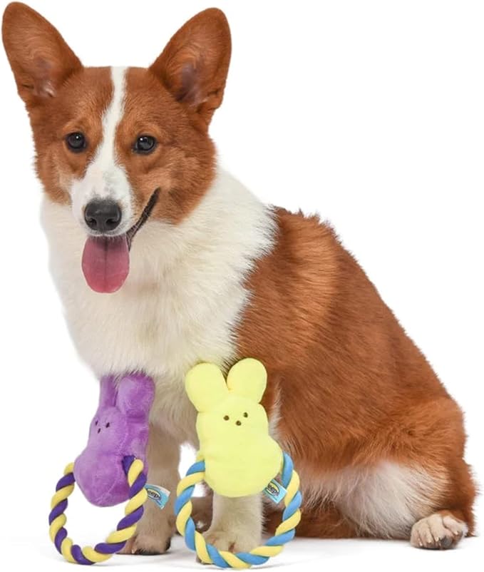 Peeps Squeaky Rope Dog Toy (Yellow Bunny)