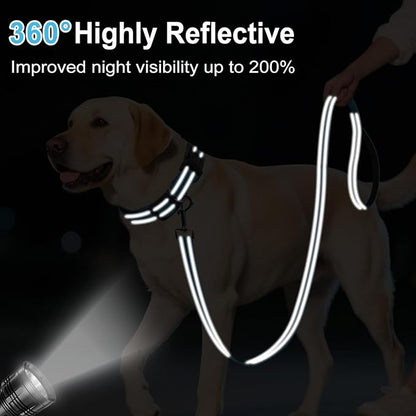 Reflective Dog Leash 4ft Soft Padded Handle Nylon Lead for Small & Medium Dogs, Durable Walking Training Leash for Night Safety (SkyBlue,1Inch Wide)