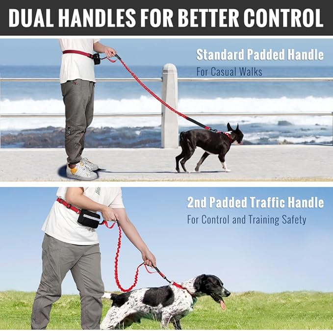 Plutus Pet Hands Free Dual Handle Retractable Bungee Leash with Reflective Stitches, Adjustable Waist Leash for Dog Walking Running Jogging, Medium Large Dogs