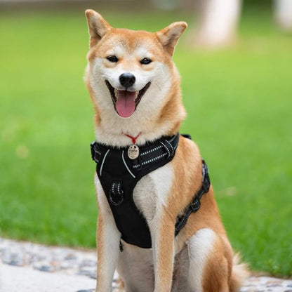 PoyPet No Pull Dog Harness, Reflective Comfortable Vest Harness with Front & Back 2 Leash Attachments and Easy Control Handle Adjustable Soft Padded Pet Vest for Small to Large Dogs (Black,M)
