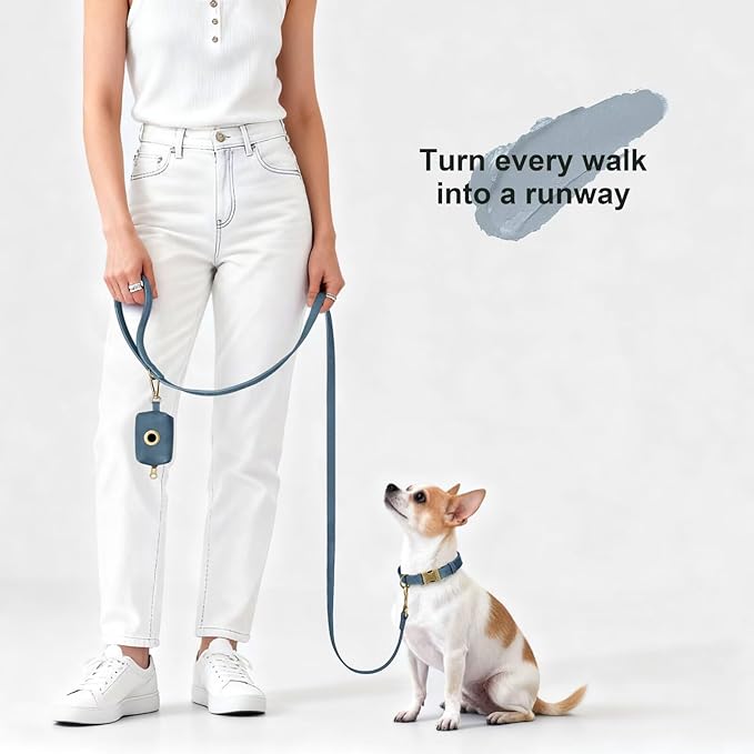 Didog Stylish PU Leather Dog Leash for Small Dogs, Easy to Clean 5ft Small Dog Leash with Metal Tangle-Free Clip, Fashionable and Elegant for Walking, Running and Training,Blue, S