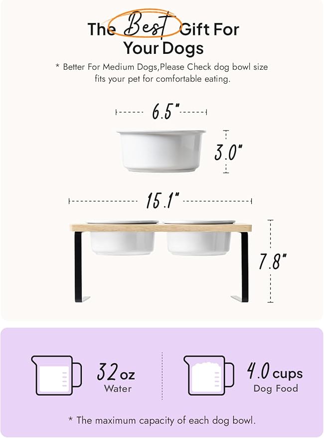Elevated Dog Bowls, Raised Dog Bowl Stand with Two 6.5 inch Ceramic Bowl, Non-Slip Puppy Food and Water Bowls, Dogs Feeder for Small and Medium Breed, White