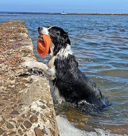 Van Ness Pets Doggi Catch and Carry Flying Disc Floating Dog Toy, Large, Orange