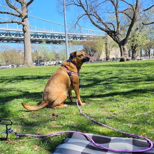 BTINESFUL 8/12/20/30/50/75ft Dog Tie-Out Long Tether Rope Dog Lead for Yard - Image 6