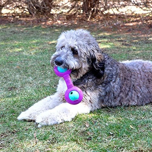 Chew King Premium Throw Stick Dog Toy - Durable Natural Rubber Collection, Fetch and Tug Dog Toy, Pet Treat Toys for Boredom - Image 4