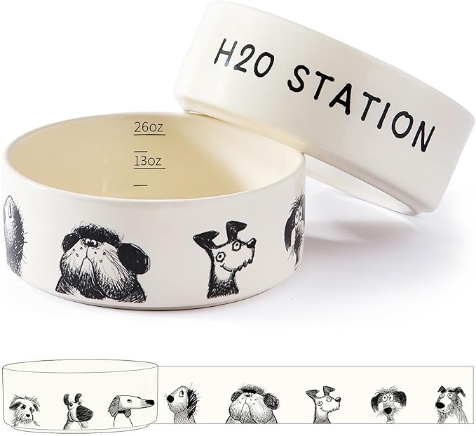 Ceramic Dog Bowl Set of 2 with Weighted Non-Slip Ring-3.3 Cups, Stoneware Food and Water Set, Pet Feeding, Microwave and Dishwasher Safe-Derpy-M 2pcs