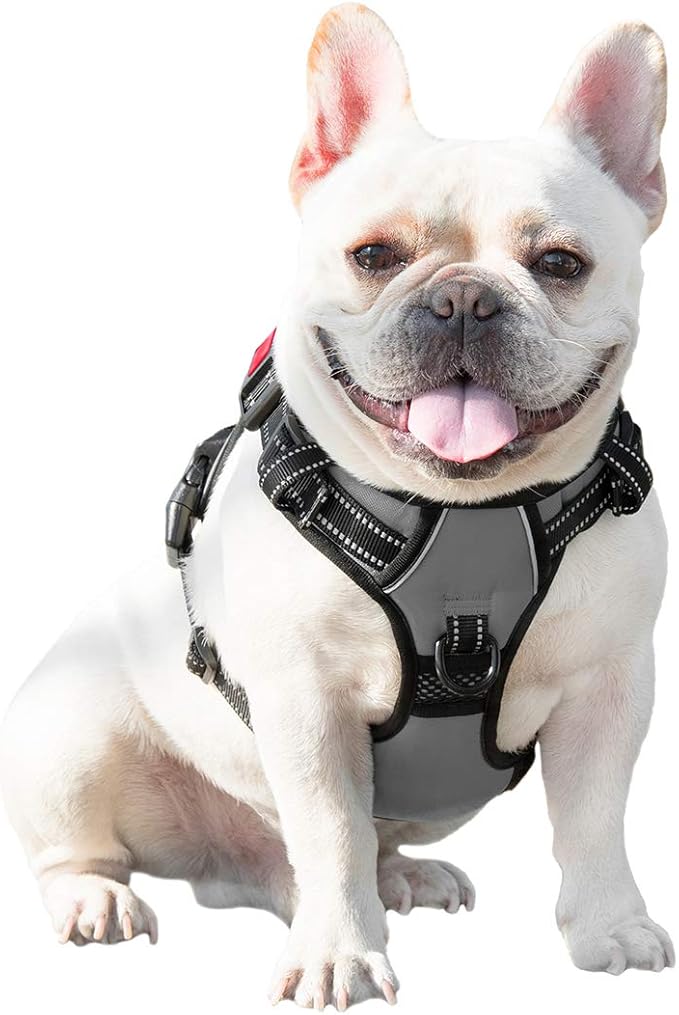PHOEPET No Pull Dog Harness Medium Reflective Front Clip Vest with Handle,Adjustable 2 Metal Rings 3 Buckles,[Easy to Put on & Take Off](XS, Grey)