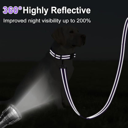 Reflective Dog Leash 6ft Soft Padded Handle Nylon Lead for Small & Medium Dogs, Durable Walking Training Leash for Night Safety (Purple,3/4Inch Wide)