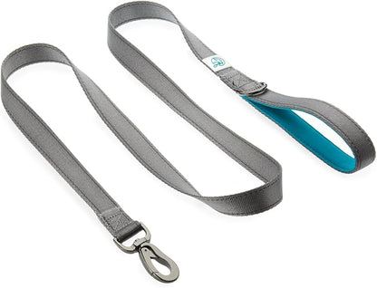 Embark Adventure Dog Leash – Strong & Durable, Colorful, 5 Ft, Suitable for Small, Medium & Large Dogs, Blue