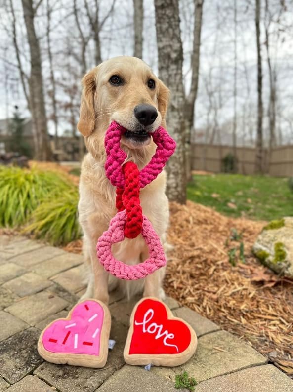 Midlee Interlocking Heart Rope Valentine Dog Toy - 6"- Pink Red Small Tug Toy
