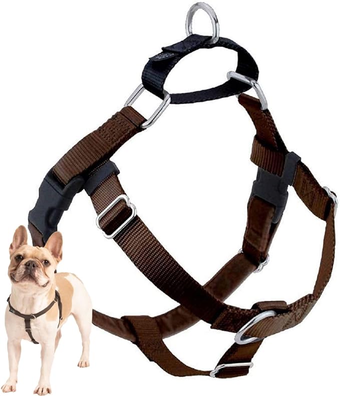 2 Hounds Design Freedom No Pull Dog Harness, Adjustable Harness, Easy Walking & Comfortable Control, Fits Small, Medium & Large Dogs, Solid Colors, Made in USA, 5/8" MD, Brown