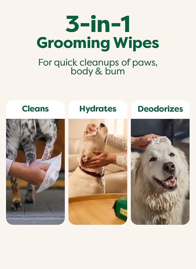 Earth Rated XL Pet Wipes for Dogs & Cats, Unscented Hypoallergenic, 60 Ct