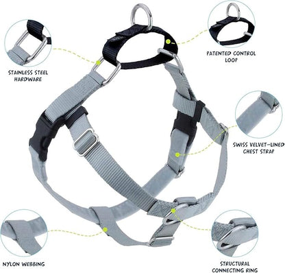2 Hounds Design Freedom No Pull Dog Harness, Adjustable Harness and Leash Set, Easy Walking & Comfortable Control, Fits Small, Medium & Large Dogs, Solid Colors, Made in USA, 1" MD, Silver