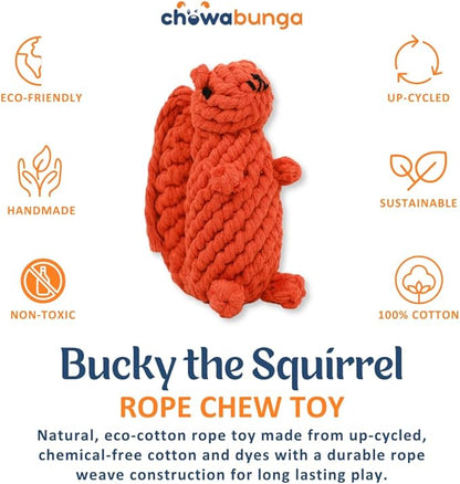 Bucky The Squirrel Dog Toy Handmade Eco Cotton Rope Squirrel Toy for Dogs - Natural, Non-Toxic Dyes, Dog Chew Toys for Small & Medium Breed Dogs, Cats (Small)