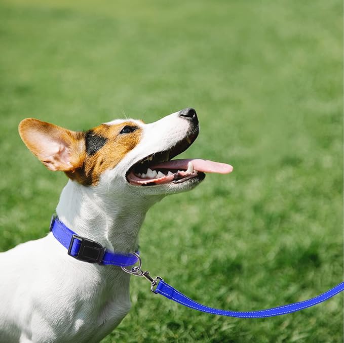 FunTags 6FT Reflective Dog Leash with Soft Padded Handle for Training,Walking Lead for Large & Medium Dog,1 Inch Wide,Royal Blue