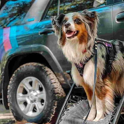 Auroth Tactical Dog Harness for Small Medium Large Dogs No Pull Adjustable Pet Harness Reflective K9 Working Training Easy Control Pet Vest Military Service Dog Harnesses (M, Purple Camo)