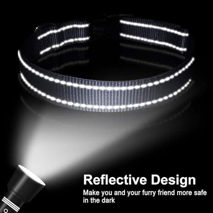 FunTags Reflective Dog Collar, Sturdy Nylon Collars for Large Girl and Boy Dogs, Adjustable Dog Collar with Quick Release Buckle, Gray
