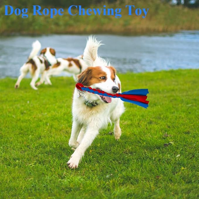 ASOCEA 2 Pack Dog Fleece Rope Toy for Dog Chase and Tug Pet Interactive Cotton Chew Toy Dog Tether Lure Toy Dog Flirt Pole Replacement Toys to Outdoor Exercise & Training