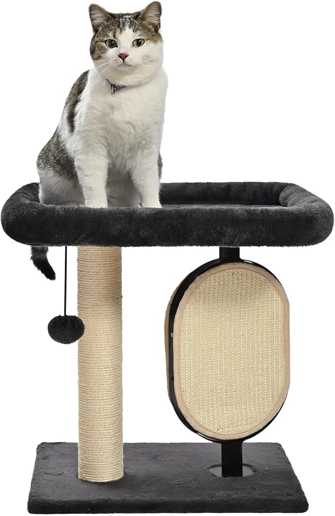 Amazon Basics Single-Platform Cat Tree with Scratching Post and Pad for Indoor Cats, 15.7 x 11.8 x 18.5'', Gray