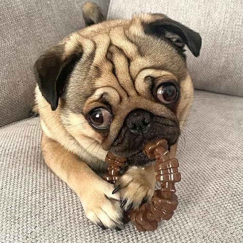 Nylabone Textured Ring Power Chew Toy for Small Dogs Up to 25 lbs - Image 2