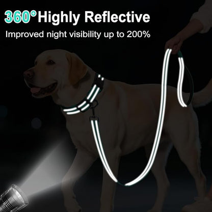 Reflective Dog Leash 4ft Soft Padded Handle Nylon Lead for Small & Medium Dogs, Durable Walking Training Leash for Night Safety (Turquoise,1Inch Wide)