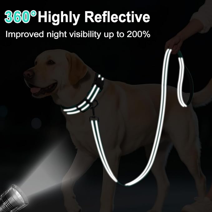 Reflective Dog Leash 4ft Soft Padded Handle Nylon Lead for Small & Medium Dogs, Durable Walking Training Leash for Night Safety (Turquoise,3/4Inch Wide)
