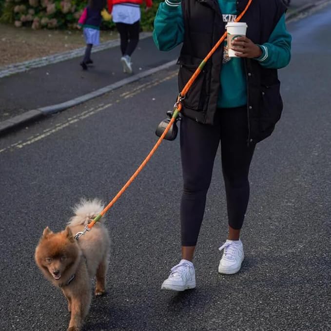 pawstrip Hands Free Dog Leash Crossbody Dog Running Leash Handsfree Pet Rope for Hiking Training Heavy Duty Reflective Pet Walking Belt (Orange)