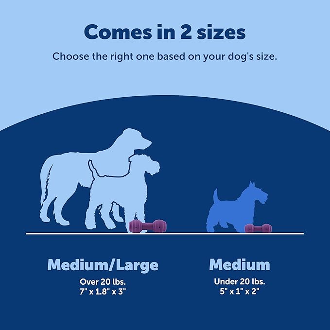 PetSafe Busy Buddy Chuckle - Treat Dispensing Toy for Interactive Play - Chuckle Sound Toy - Dog Enrichment Chew Toy - Durable Rubber Construction - Dishwasher Safe