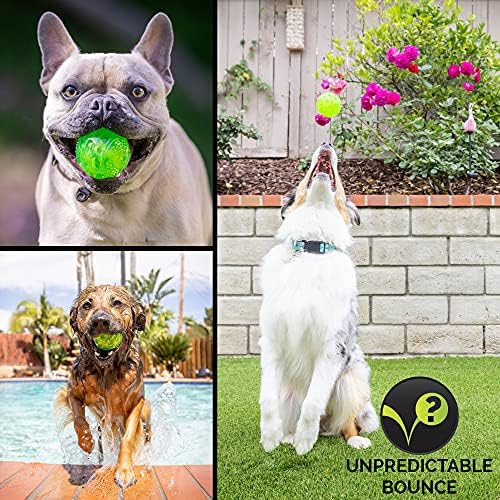 Hyper Pet DuraSqueak Dog Ball Toy, Interactive Dog Toys that Float and Squeaks for Playing, Fetching and Retrieving-Great Alternative to Traditional Tennis Balls Green 2.5 Inch - Image 5