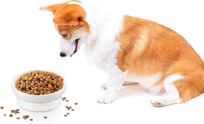 6.7" Non-Slip Ceramic Dog Bowl, 23 Oz Heavy-Duty Dog Food/Water Dish, Pet Feeding Bowl for Small and Medium Dogs, Food Grade Porcelain Pet Feeder Bowl, Microwave and Dishwasher Safe, White