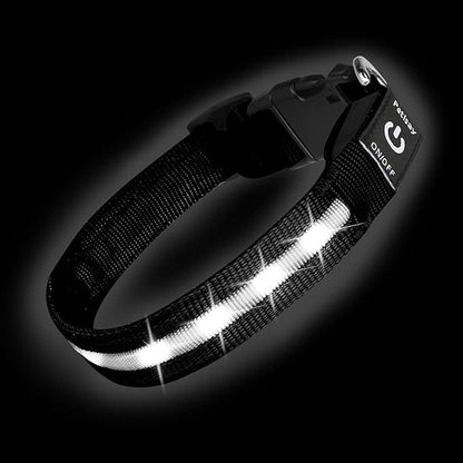 Super Bright LED Dog Collar - Fully Waterproof & Adjustable Glow Collar - USB-C Rechargeable for Night Walking, Safety - Flashing Lighted Collar for Dogs(White,L)