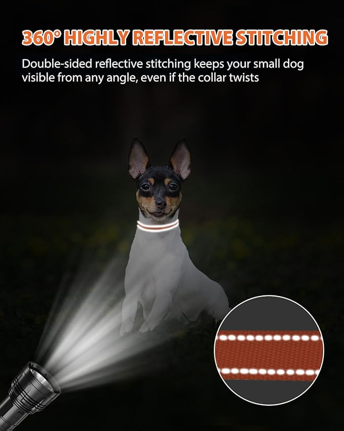 Joytale Puppy Collar, Feather-Light Double-Sided Reflective Nylon Collar for Night Safety, Adjustable Quick-Release for Extra Small Dogs, Orange, XS (3/8" Width)