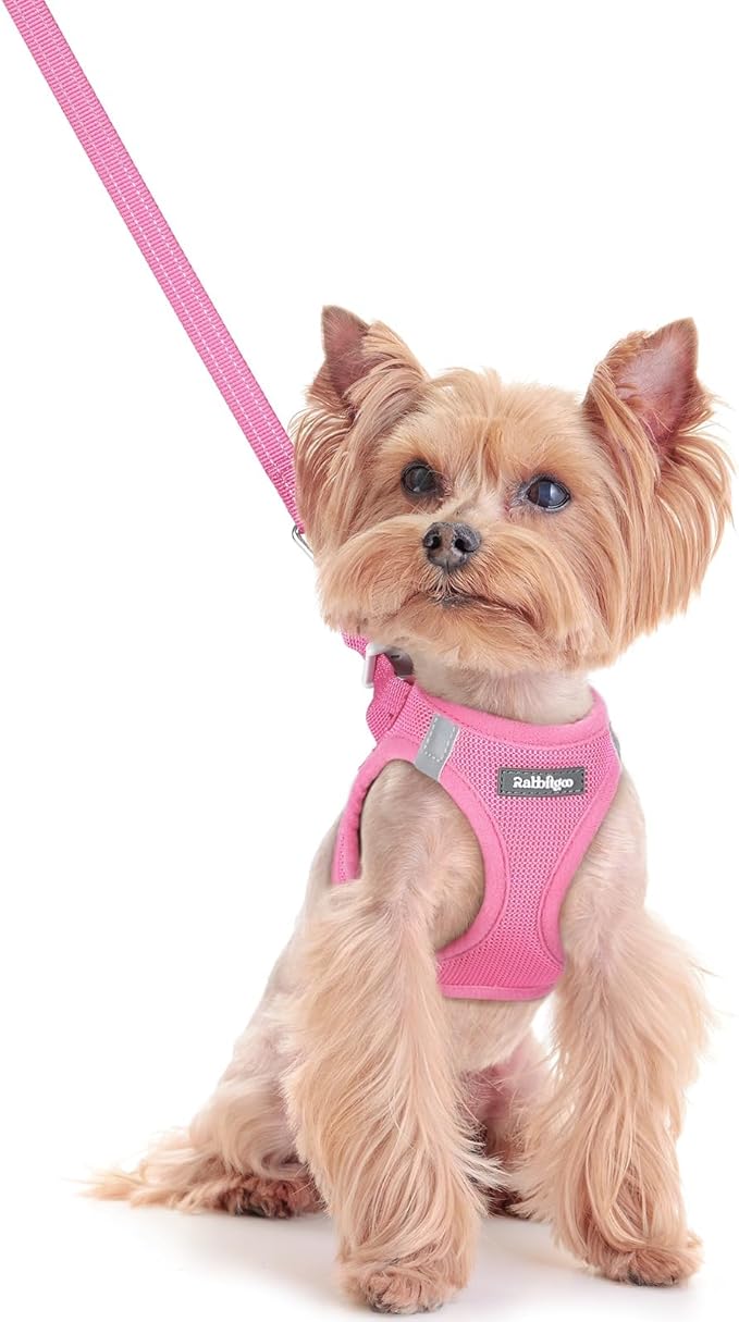 rabbitgoo Dog Harness Small Sized and Leash Set, Step in Soft Light Puppy Vest, Breathable Mesh Pet Harness, Reflective for Safe Easy Walking, Light Pink XXS