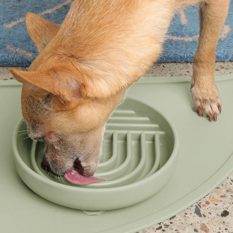 Slow Feeder Dog Bowl - Silicone Dog Bowl, Small, 6" x 1.25" - Sage - Image 6