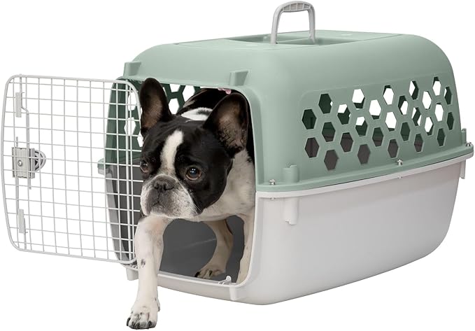 26" Plastic Portable Dog Kennel, Green – Lightweight Travel Crate for Medium Dogs Cat, Durable & Ventilated, Indoor/Outdoor Use