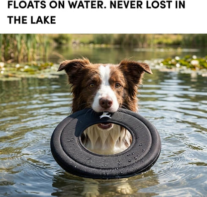 OllyDog Super Flyer Dog Flying Disc – Floating Fetch Toy for Water Play, Soft Eco-Friendly Recycled Fabric, Gentle on Teeth, 11" for Medium & Large Dogs (Raven, 11") - Image 2