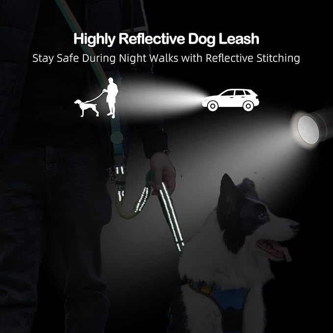 EVERKING 6-in-1 Hands-Free Dog Leash, Adjustable Elastic Reflective Nylon, Dual-Handle Shock Absorbing, 6 Feet, for Small to Large Dogs 30-150lbs (Tropical Wave)