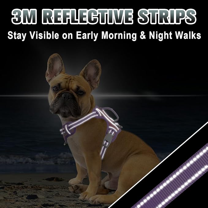 BARKBAY No Pull Dog Harness Large Reflective Dog Harness with Front Clip and Easy Control Handle for Walking Training Running with ID tag Pocket(Baby Pink & Violet Purple,S)