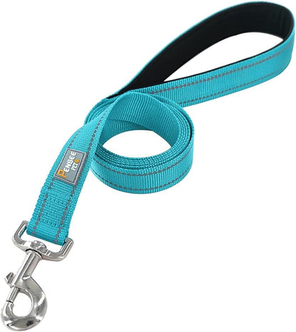 Dog Leash 6 FT Padded Handle Nylon Reflective Dogs Leashes for Large Dogs Sky Blue
